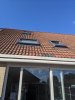 IMG_20200824_175118.jpg