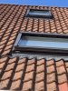 IMG_20200824_175129.jpg