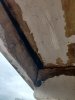 IMG_20200901_160838.jpg