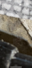 BCC0619E-0954-44C2-8FF1-C10C227A7A4B.png