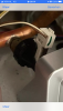 2717524D-3A77-4DDE-B25F-7CBBE0B15682.png