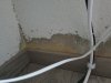 20211120_092753.jpg 20211120_092753.jpg