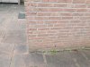 20211120_092852.jpg 20211120_092852.jpg