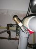 IMG_20211130_081031.jpg