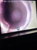 C8A65125-1BD7-40E4-A45B-7BAA37C4D407.jpeg