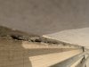 98B61C4A-37EA-492F-AE03-157272737040.jpeg