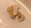 5.png 5.png