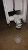 DSC_1822.JPG