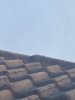 D78138AC-B1C3-45D0-AD53-36B231C71B69.jpeg D78138AC-B1C3-45D0-AD53-36B231C71B69.jpeg