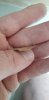 20200719_115336.jpg