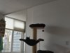 IMG20220110120845.jpg