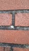 20220110_135254.jpg
