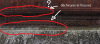 1641987507169.png