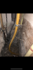 F81714BB-89A9-43F7-8760-296FF5B6CF0E.png