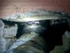 IMG_20220122_131211.jpg