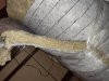 20220123_192316.jpg