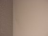 IMG_20220130_084307176.jpg
