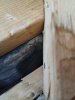 thumbnail_IMG_20211025_165950_1.jpg