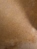 thumbnail_image2.jpg