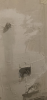 DC931E2C-D4EB-47CB-83E1-9CE88A9310CF.png