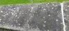 IMG_20220118_170545.jpg