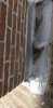 20220211_121915.jpg 20220211_121915.jpg