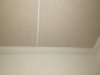 IMG_20220219_092034978.jpg