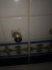 6E39B661-1B00-4D16-854C-06163840079A.jpeg