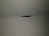 IMG_20220321_185916.jpg