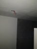 IMG_20220321_190038.jpg