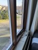 IMG_0318.JPG