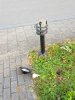 20200918_085037.jpg