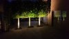 20200912_210204.jpg