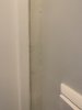 9AD54F28-9E2B-4135-8E8F-7D8AE74C760E.jpeg