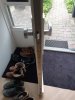 20220415_092811.jpg