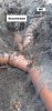 WhatsApp Image 2022-04-25 at 8.57.11 PM.jpeg