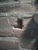 IMG_20220427_182955.jpg