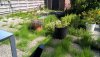 WP_20210729_16_35_02_Pro.jpg