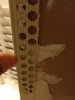 20220516_225336.jpg