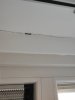 IMG_20220521_075539.jpg