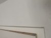 1033E93A-1F08-4755-A111-08FAEE947781.jpeg
