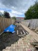 tuin.jpeg