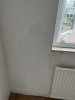 IMG_0503.jpeg