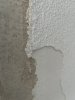 IMG_0505.jpeg