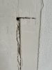 IMG_0502.jpeg