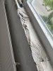 IMG_0514.jpeg IMG_0514.jpeg