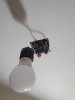 20220604_102921.jpg