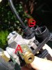 DSC_0568xAB.jpg