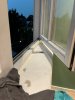 B1319508-8388-4E45-BFAB-D9BDED17ADD5.jpeg