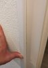 IMG_20220707_130706.jpg